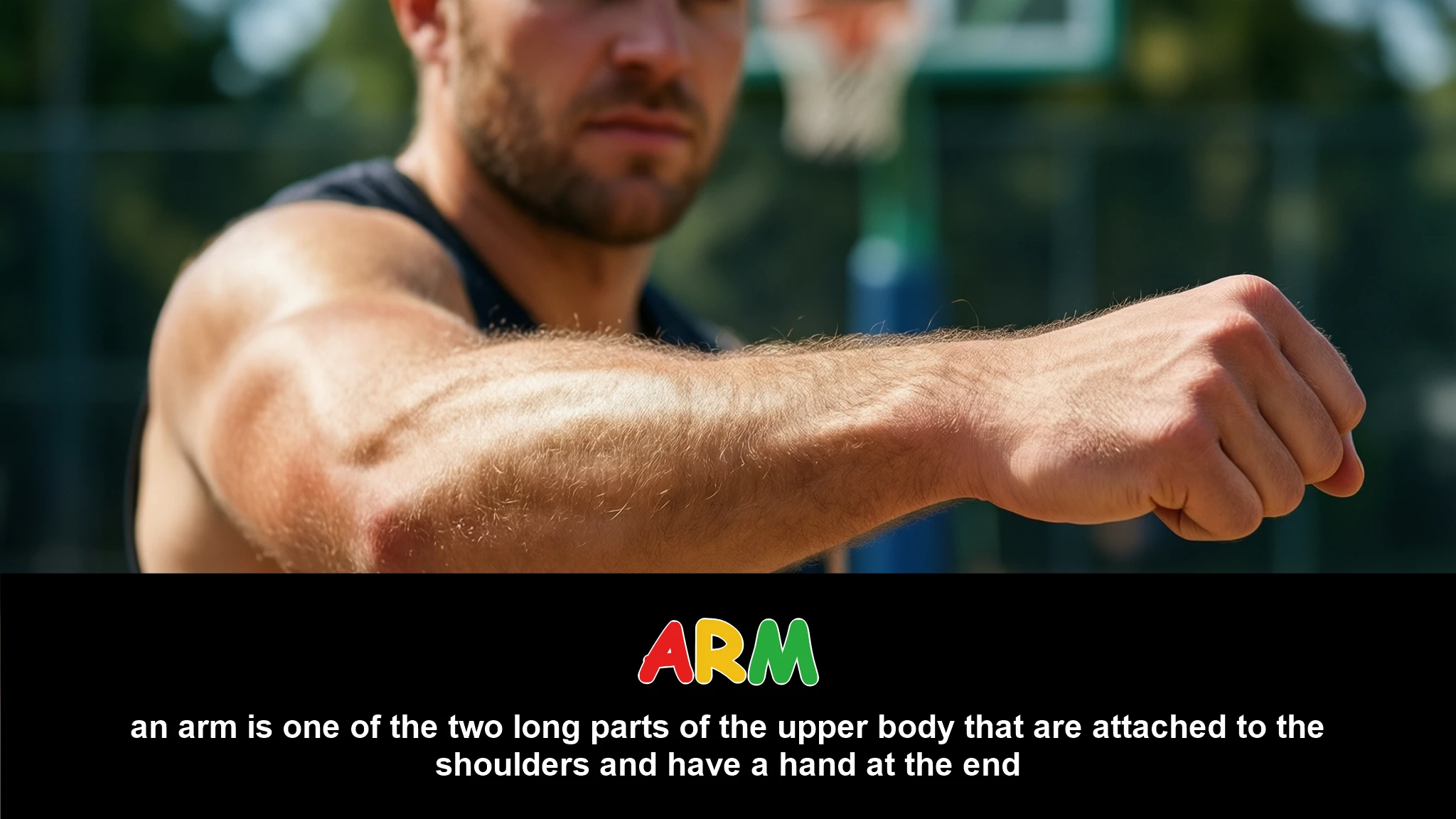 English Illustration for arm